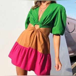 Never Fully Dressed Green, Brown & Pink Cutout Mini Dress
